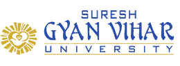 Gyan Vihar University
